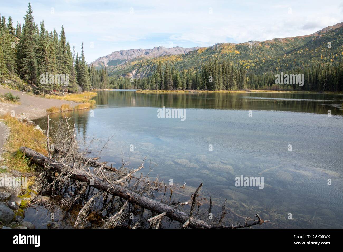 Denali horseshoe lake trail hot sale