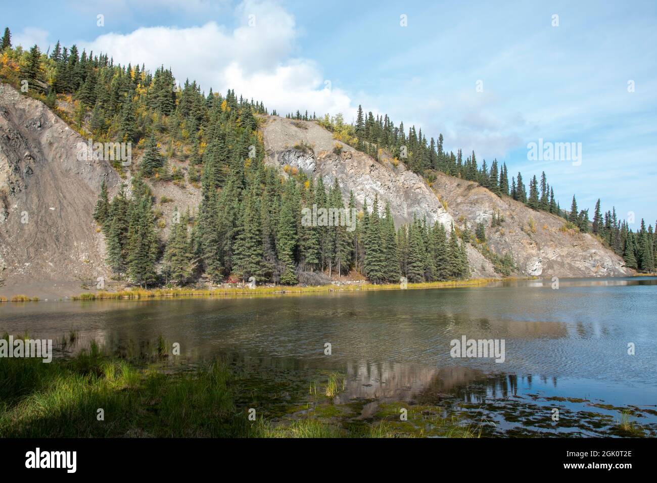 Denali horseshoe lake trail hot sale