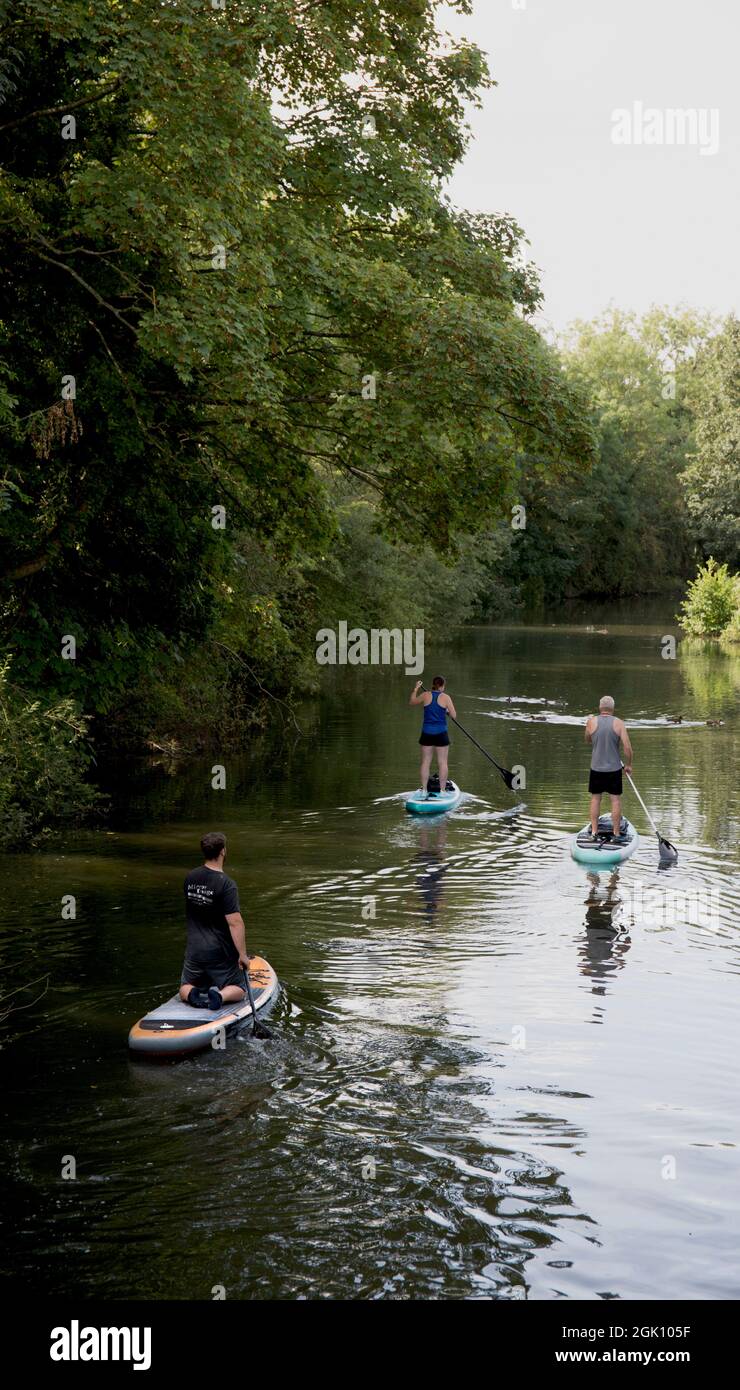 Paddle Boarders River Stort Harlow Essex Stock Photo