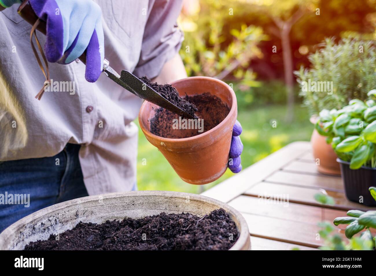 Woman with shovel is putting soil into flower pot. Gardening and planting herbs at spring Stock Photo