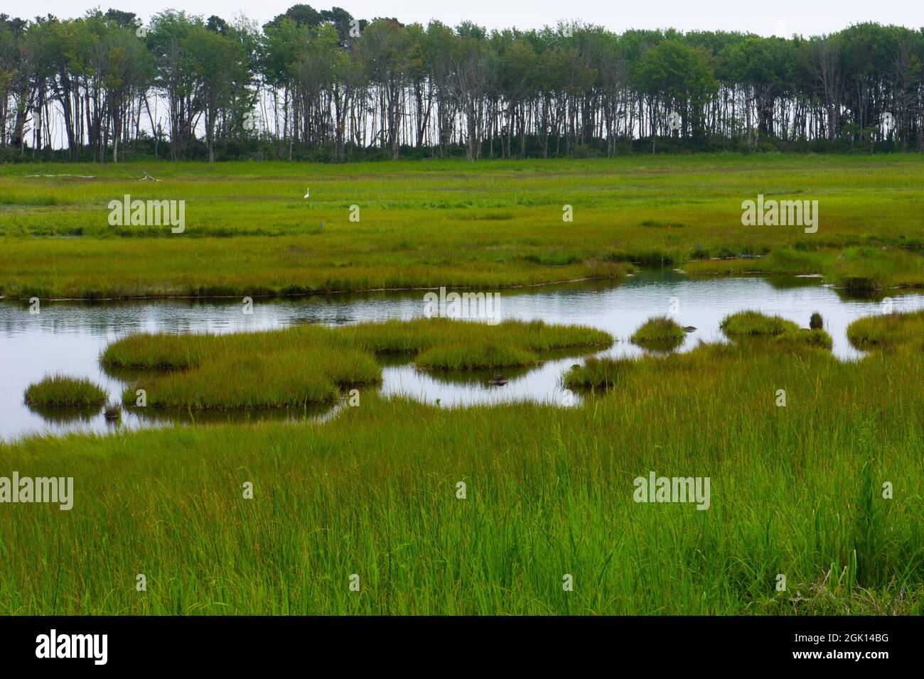 Maine coastal marshes hi-res stock photography and images - Alamy