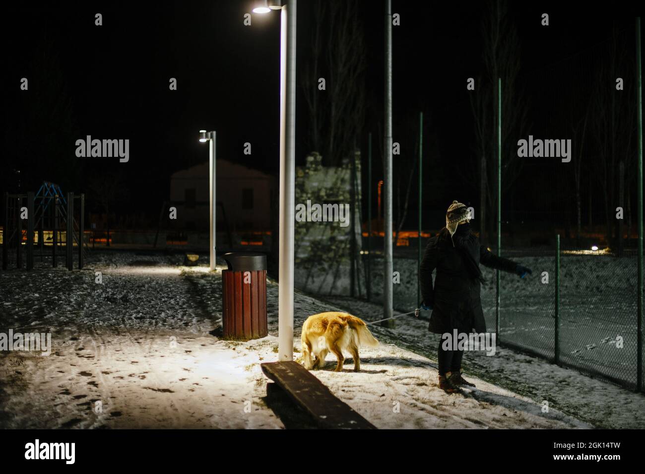 Why Is My Dog Walking Around At Night