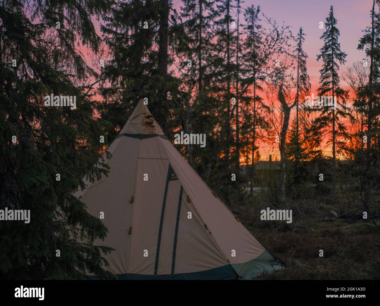 A view of a tent in the forest at sunset Stock Photo - Alamy