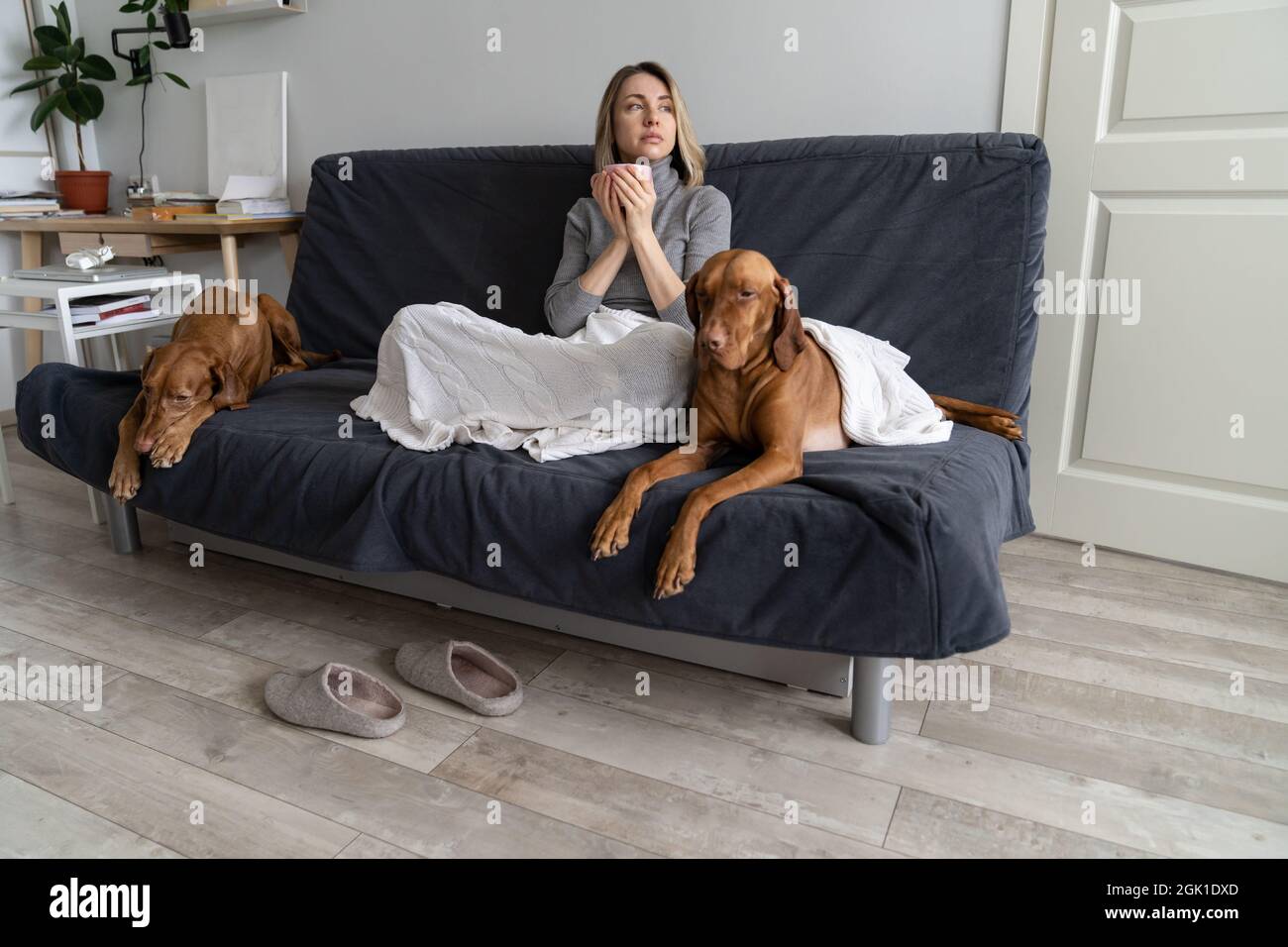 Indifferent woman struggle with bipolar depression and mental disorder stay at home with two dogs Stock Photo