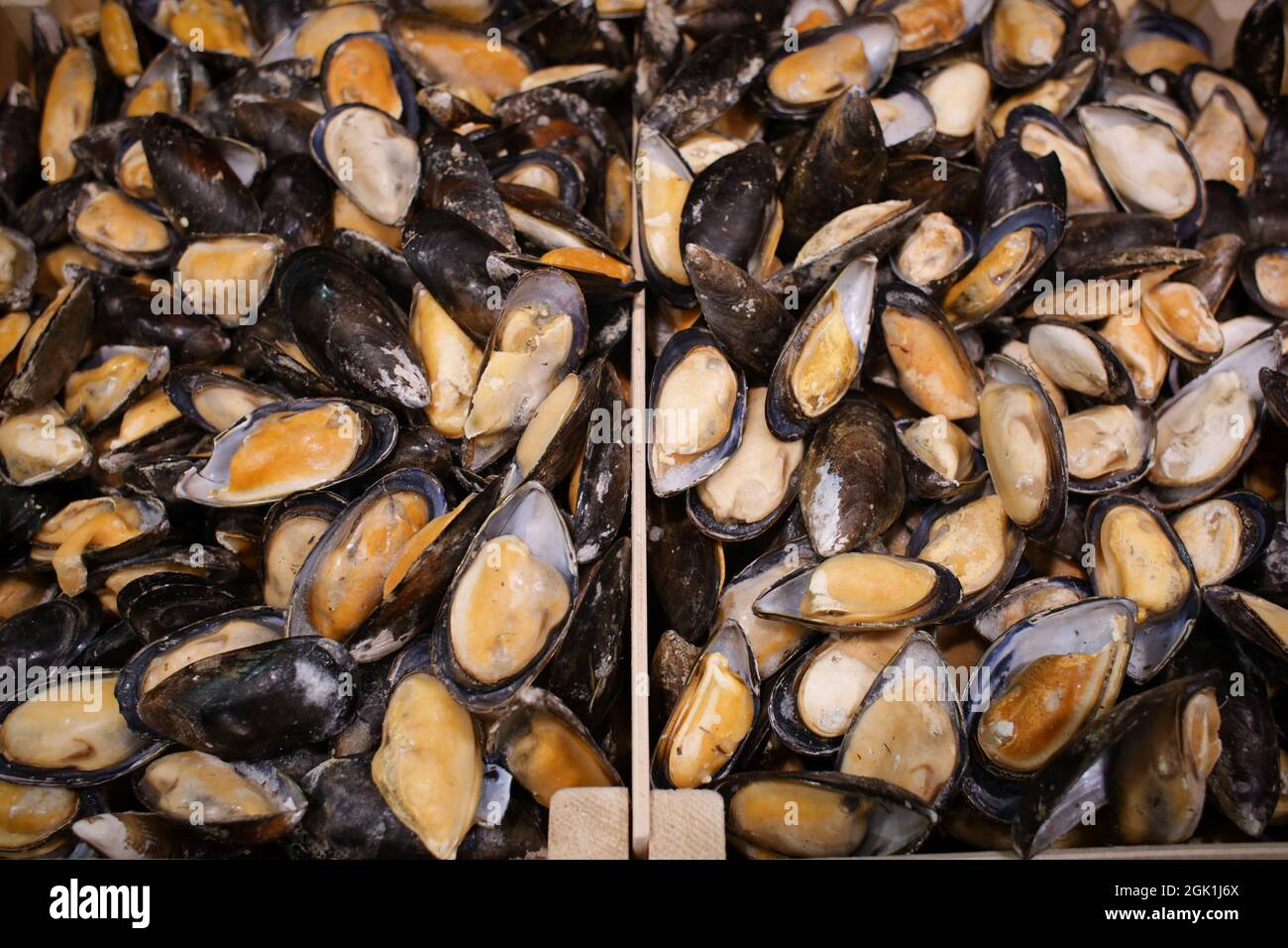 Frozen mussels in fish supermarket Stock Photo Alamy