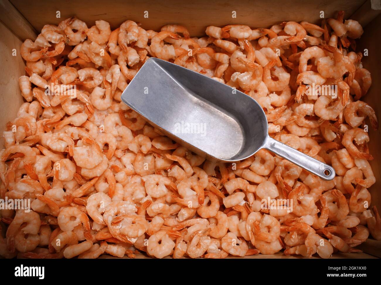 Frozen shrimps in fish supermarket Stock Photo Alamy