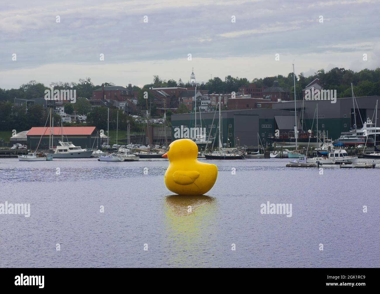 Giant rubber ducky in Belfast harbor, Maine, August 2021 Stock Photo
