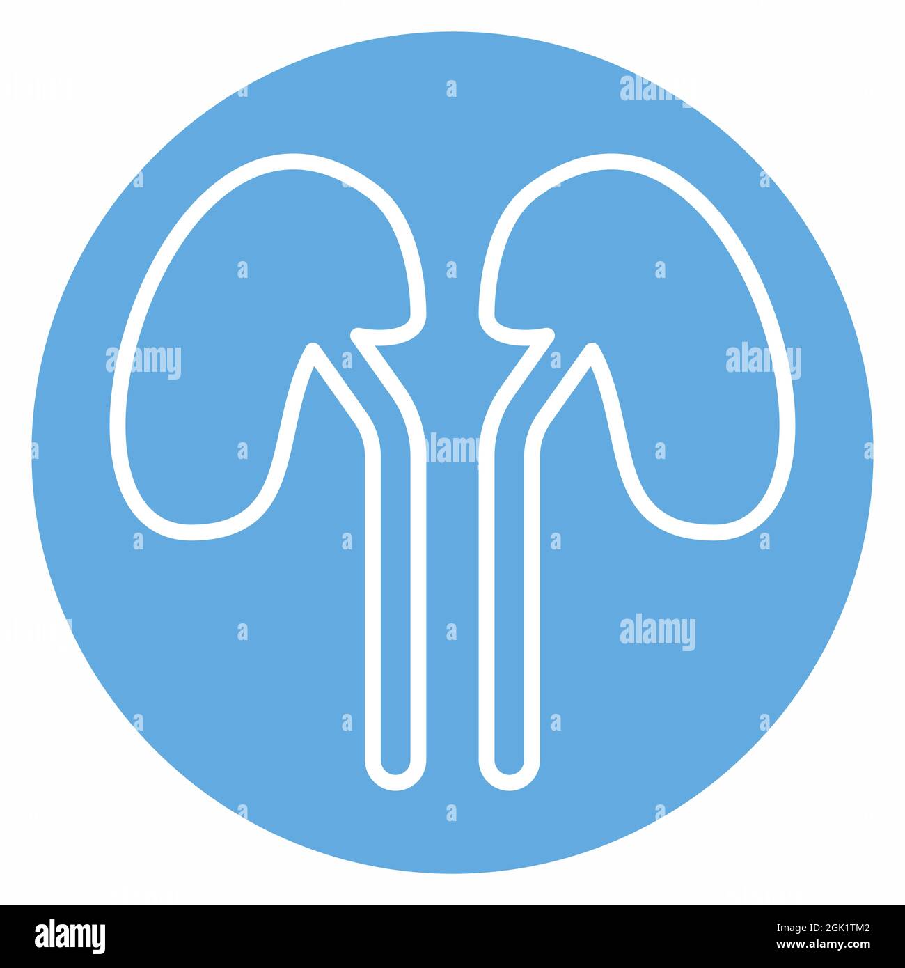 Icon Vector of Kidney - Blue Eyes Style - Simple illustration, Editable ...