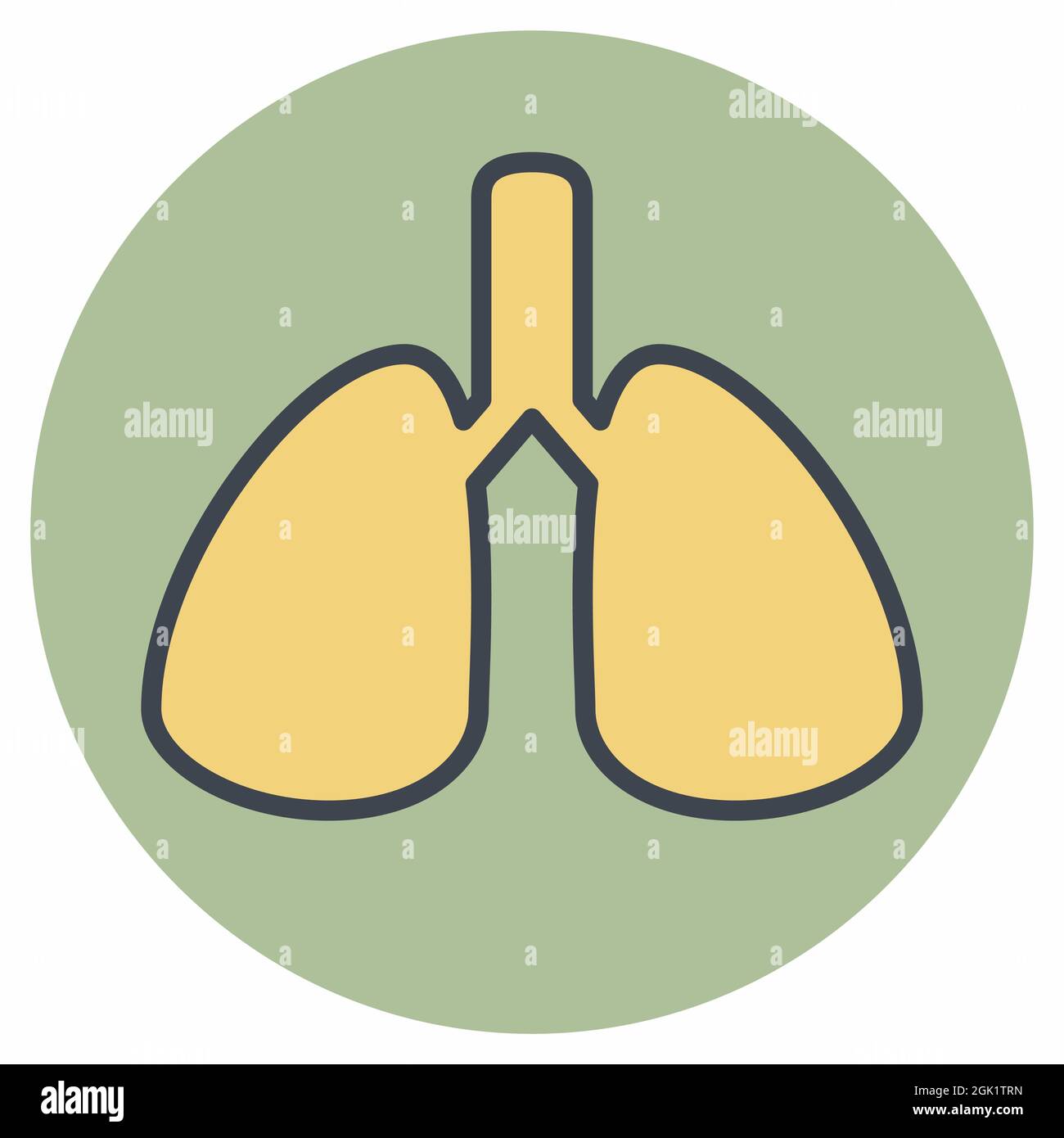 Icon Vector of Lungs - Color Mate Style - Simple illustration, Editable ...