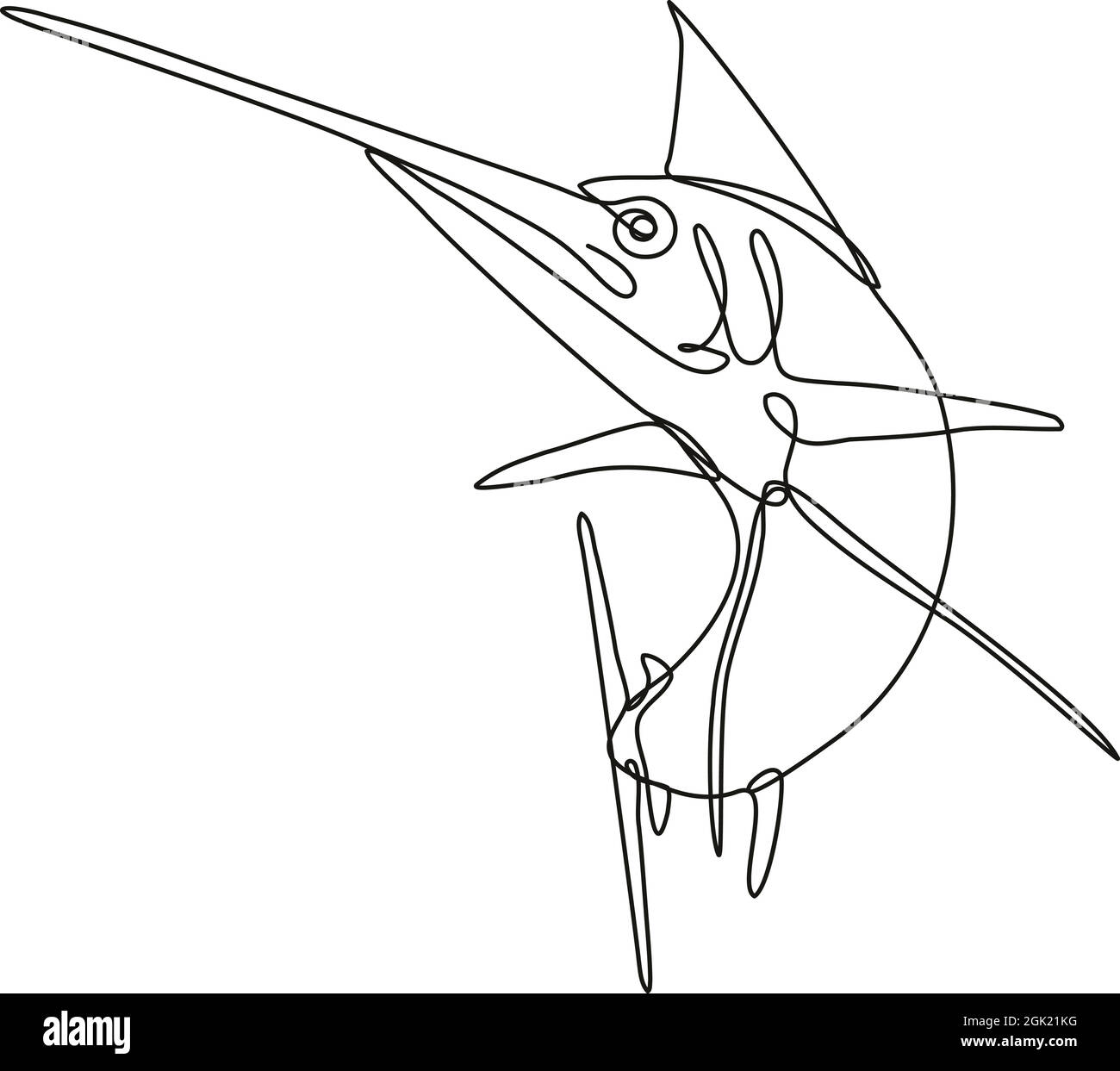 Continuous line drawing illustration of an angry Atlantic blue marlin jumping up done in mono line or doodle style in black and white on isolated back Stock Vector