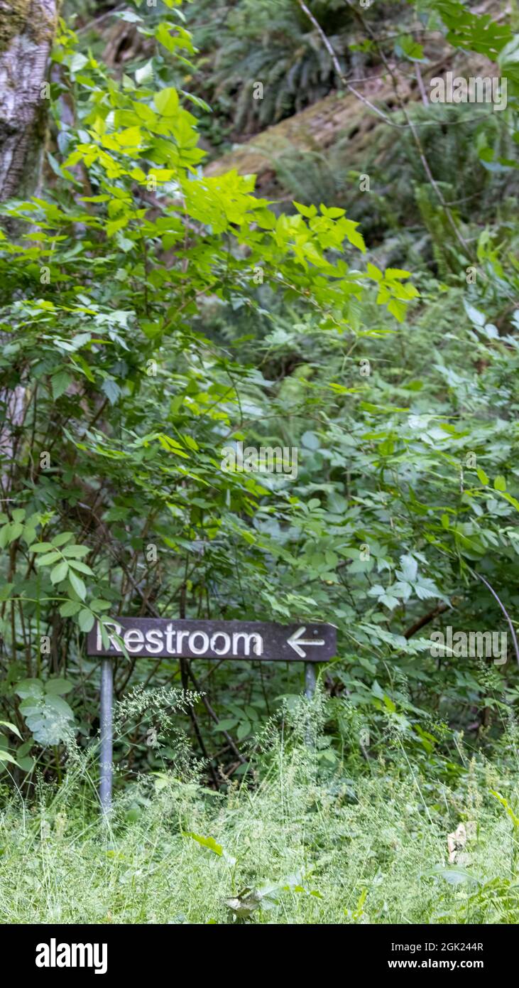 sign on the edge of a forest path with arrow pointing to the restroom ...