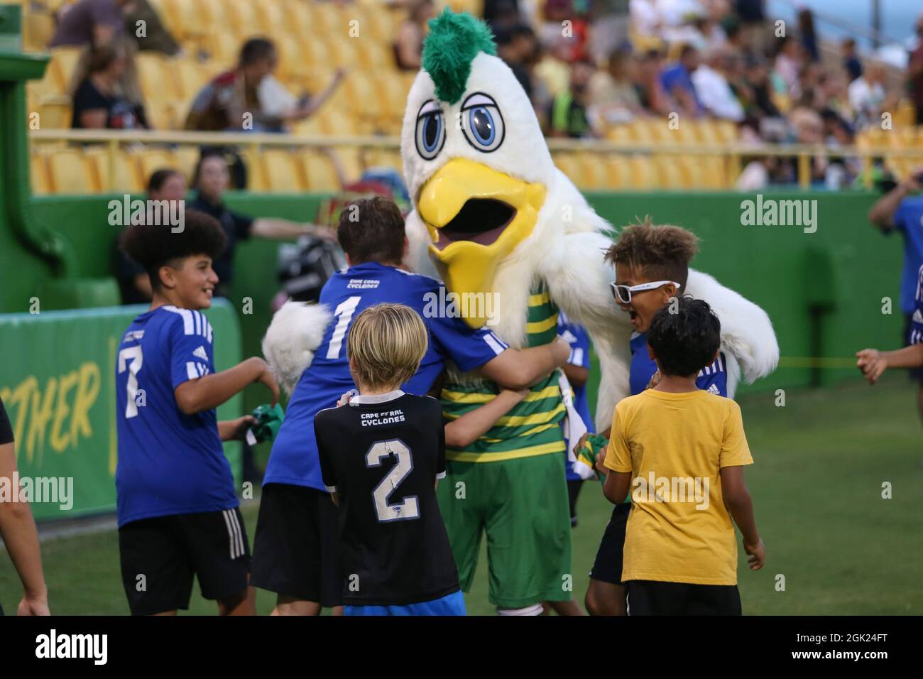 St. Petersburg, FL USA; Tampa Bay Rowdies mascot Pete gets hugs from young fans during a USL soccer game against the New York Red Bulls, Saturday, Sep Stock Photo