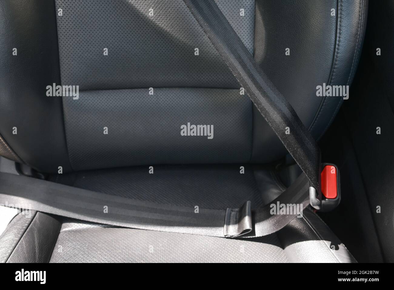 Fastened seat belt in car Stock Photo - Alamy