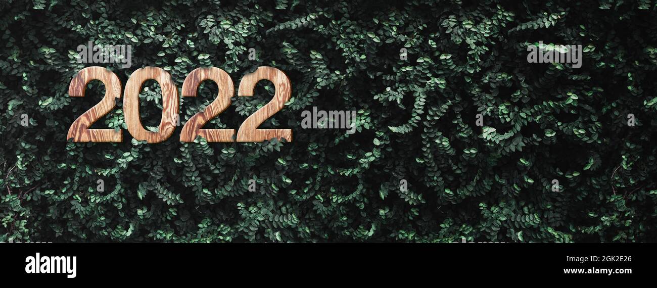 new year 2022 wood texture on tropical dark green leaf foliage wall at outdoor.ecology concept.world care of environment Stock Photo