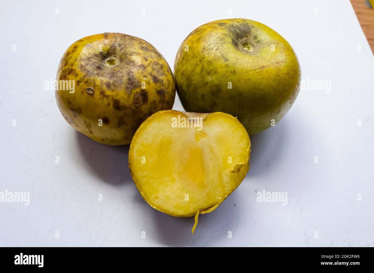 Two And A Half White Sapote Stock Photo