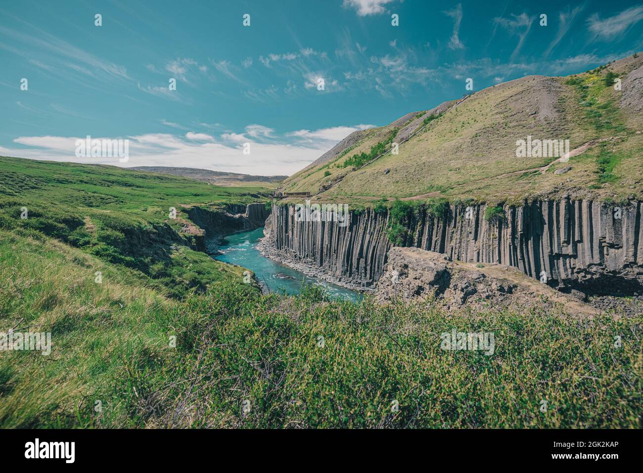 Overview of Studlagil canyon in Iceland, picturesque valley with basalt columns standing high on a warm summer day. Shot taken trough grass Stock Photo