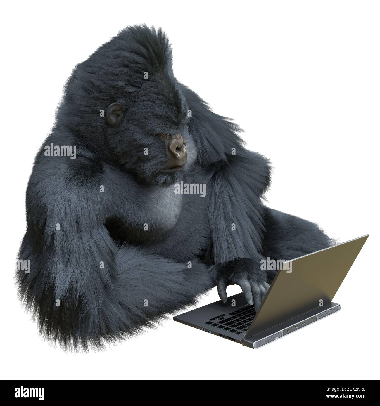 Black silver gorilla with laptop concept 3d illustration isolated on ...