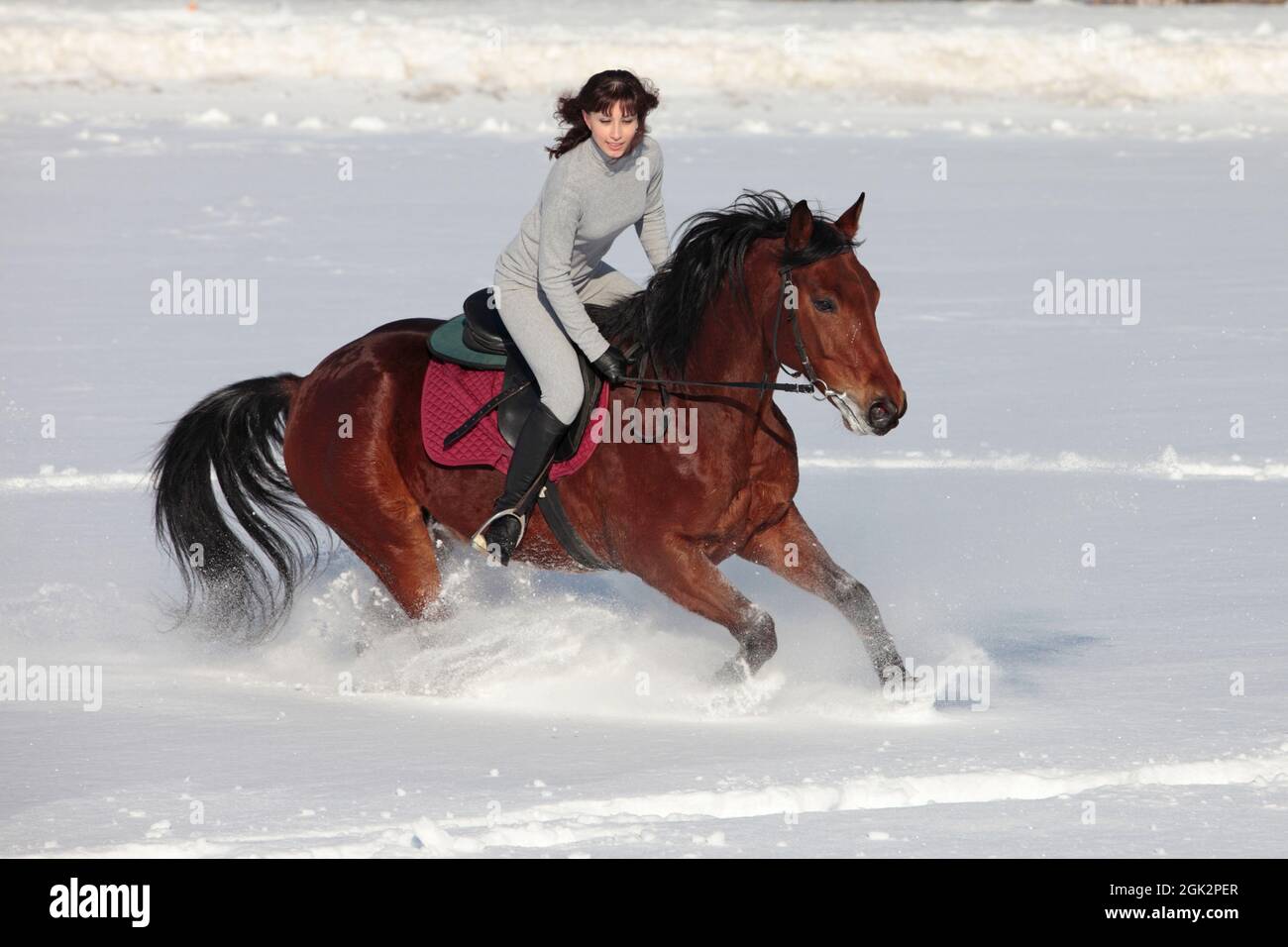 Equestrian  country girl riding her horse in winter fields Stock Photo