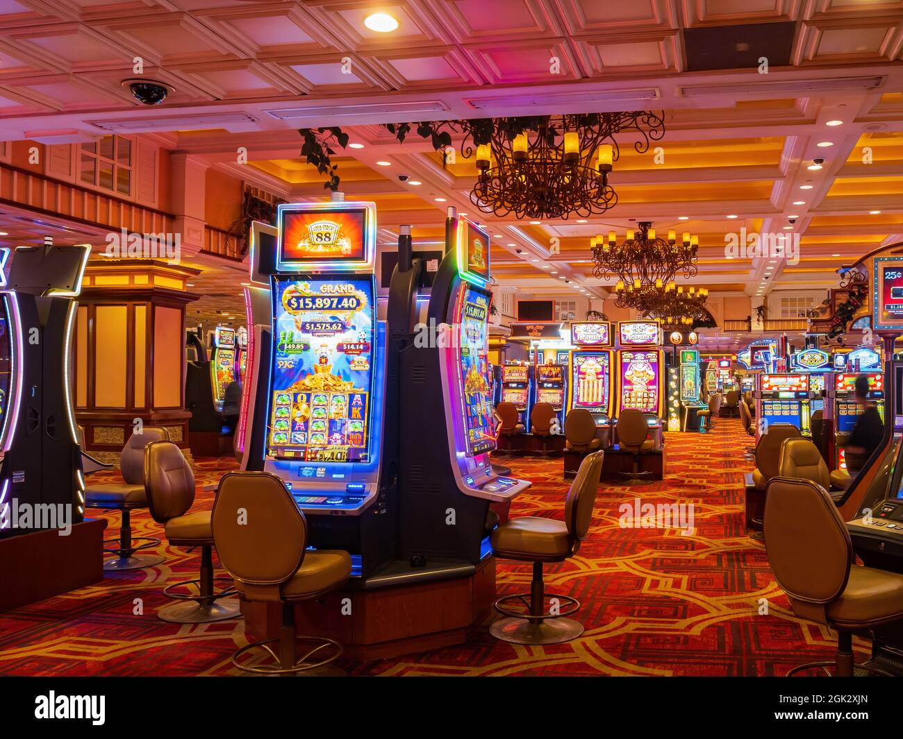 Gold coast hotel and casino hires stock photography and images Alamy