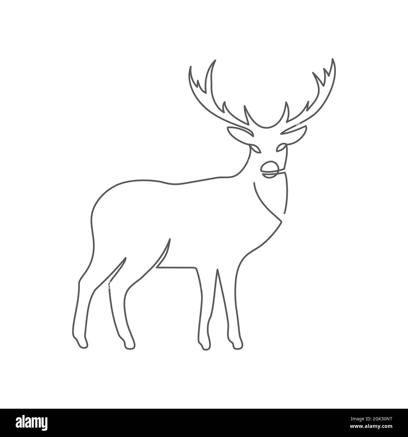 Deer One line drawing on white Stock Vector Image & Art - Alamy