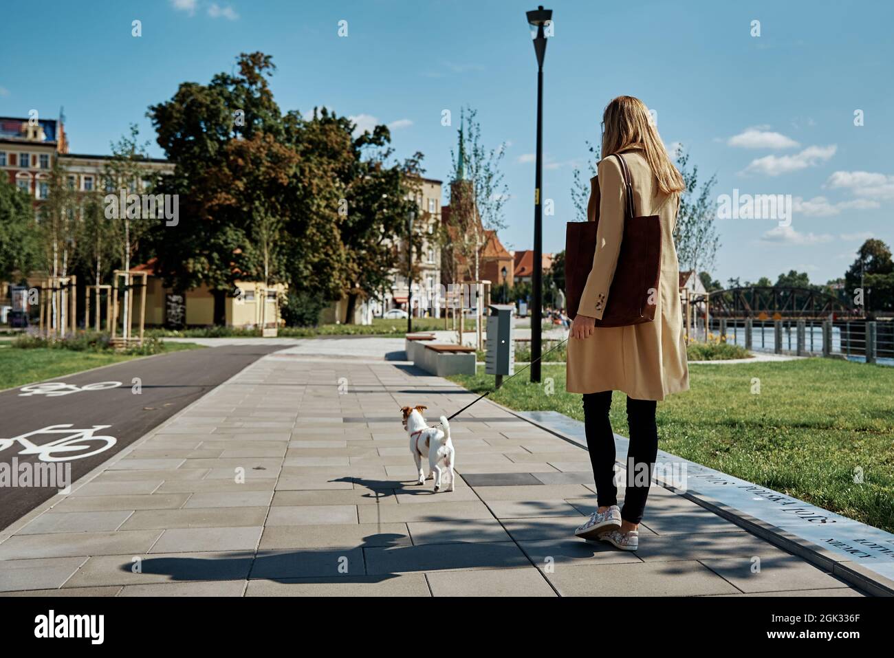 Woman walk with her dog at city street in summer day Stock Photo - Alamy