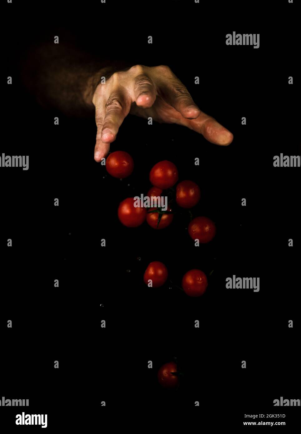 Hand dropping cherry tomatoes against black background Stock Photo