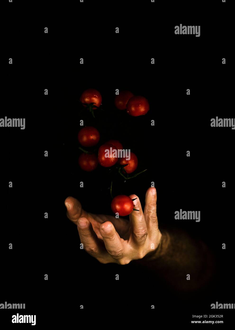 Hand dropping cherry tomatoes against black background Stock Photo