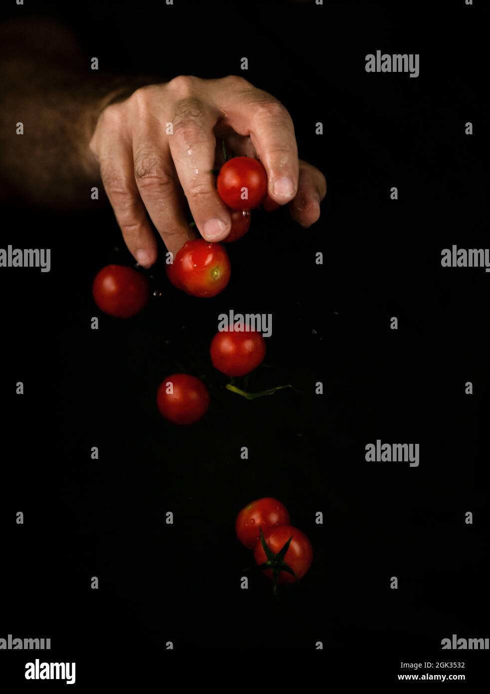 Hand dropping cherry tomatoes against black background Stock Photo
