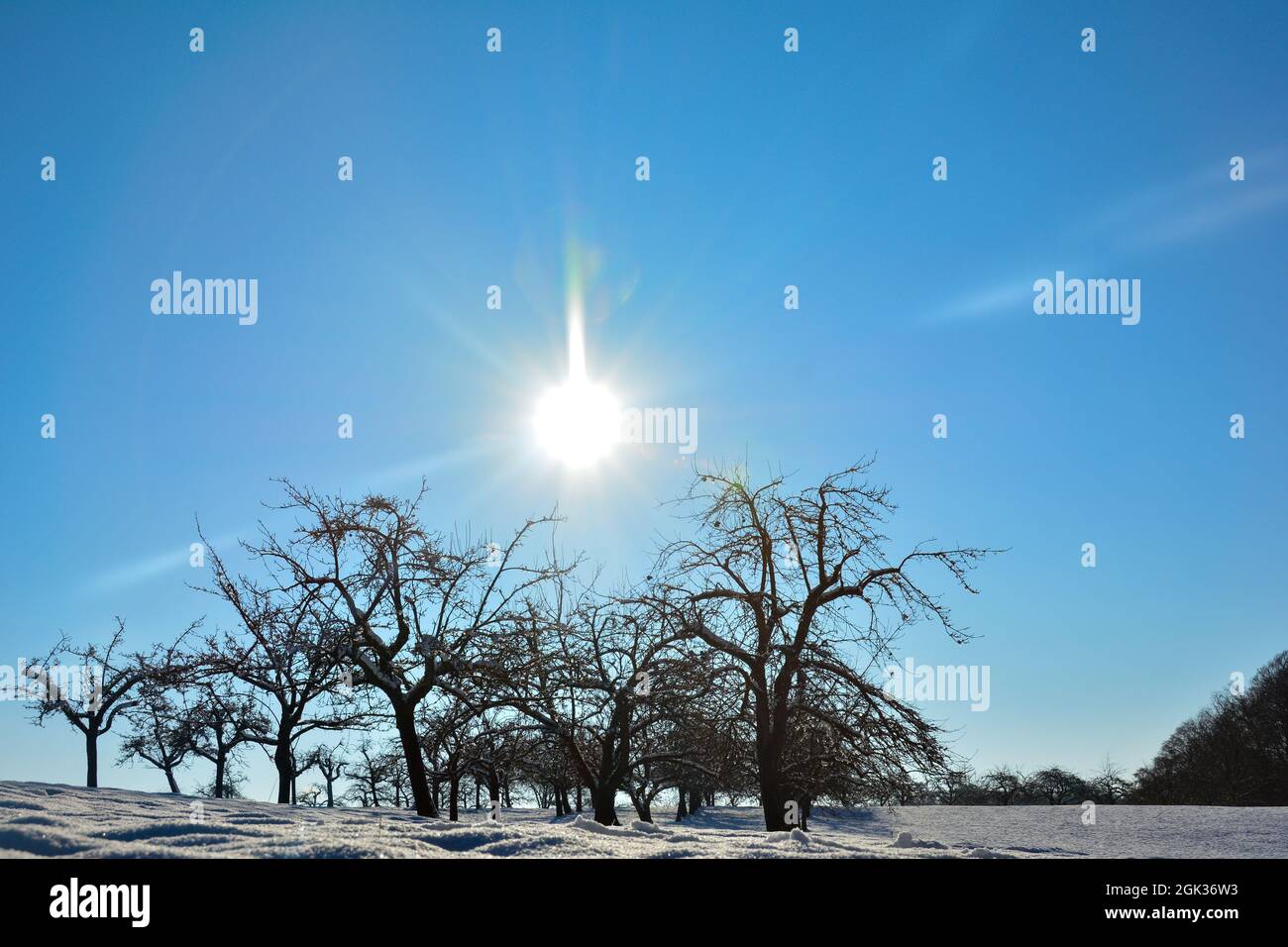 Nature in winter, with lots of snow, trees and blue skies Stock Photo ...