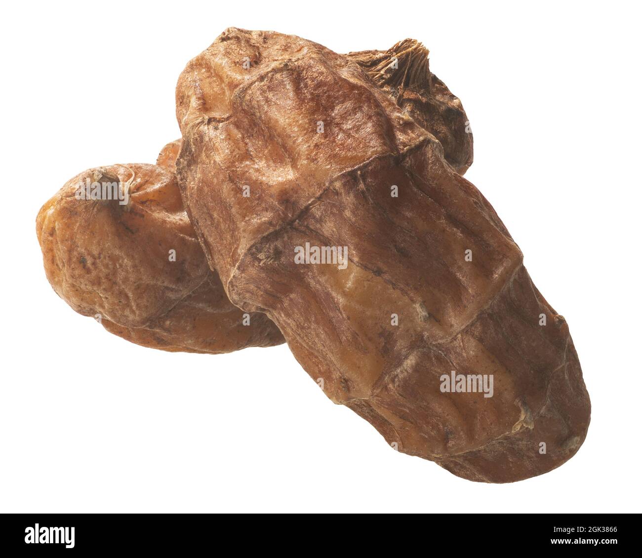 Chufa tiger nuts (Cyperus esculentus tuubers), dried, isolated Stock Photo
