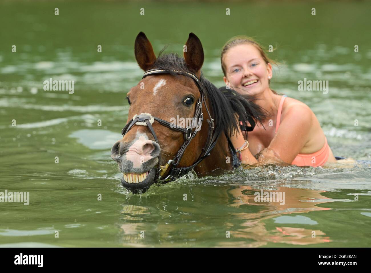 Young woman and pony horse swimming in a lake. Germany Stock Photo - Alamy