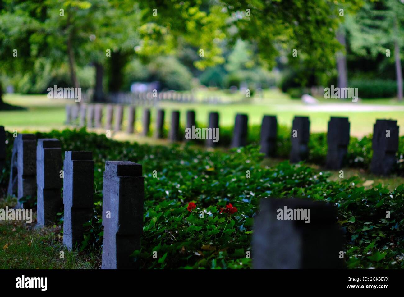 Brunswick, Germany. 26th Aug, 2021. Numerous stone crosses stand in the civilian cemetery of honour for the 683 victims of the night of the bombing on 15 October 1944 on the grounds of the municipal cemetery. Many of the dead were burned beyond recognition by the firestorm, and their gravestones read 'Unknown' instead of a name. Credit: Stefan Jaitner/dpa/Alamy Live News Stock Photo