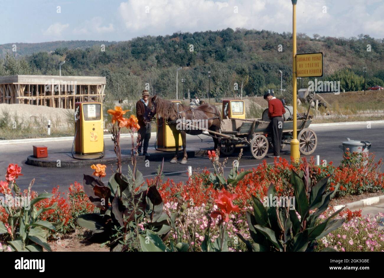 A horse and cart stopped at a garage to fill up with petrol or gas! This amusing scene is located in the former Yugoslavia in 1967. The multi-lingual sign on the right warns of ‘no smoking’ in Bosnian, English and German. In reality the men are filling a metal container in the back of the cart. The Socialist Federal Republic of Yugoslavia is today split into six federal states and this location now is in Bosnia and Herzegovina (or simply Bosnia). This image is from an old amateur 35mm Kodak colour transparency – a vintage 1960s photograph. Stock Photo