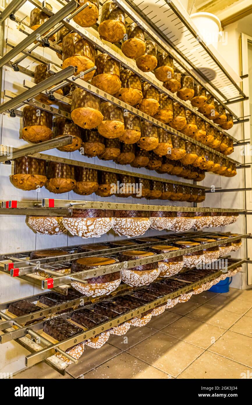 Panettone Prduction in the Pasticceria Marnin in Locarno, Switzerland. Circolo di Locarno, Switzerland Stock Photo