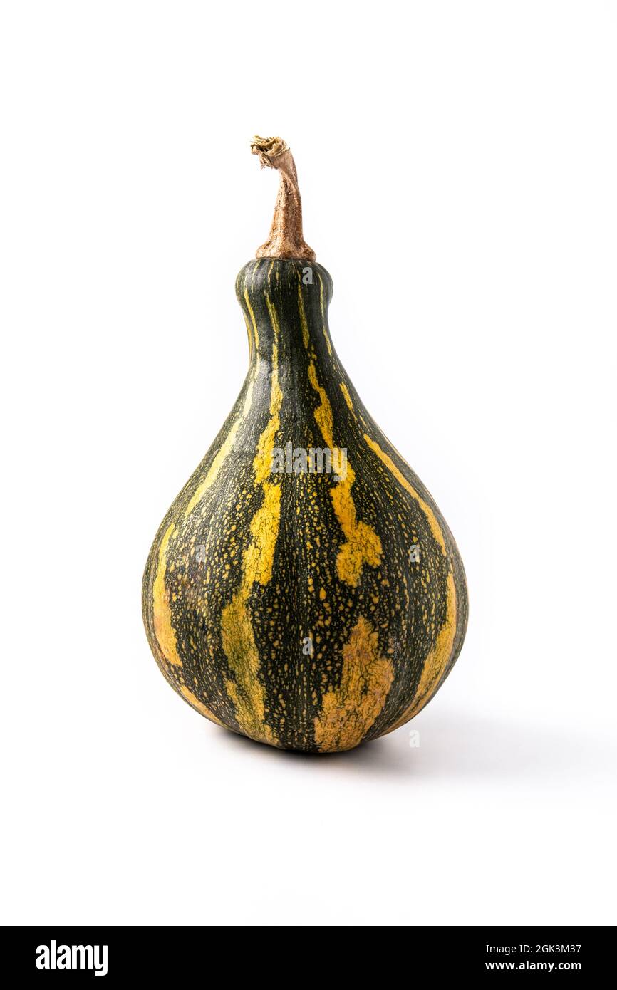 Fresh green pumpkin isolated on white background Stock Photo - Alamy