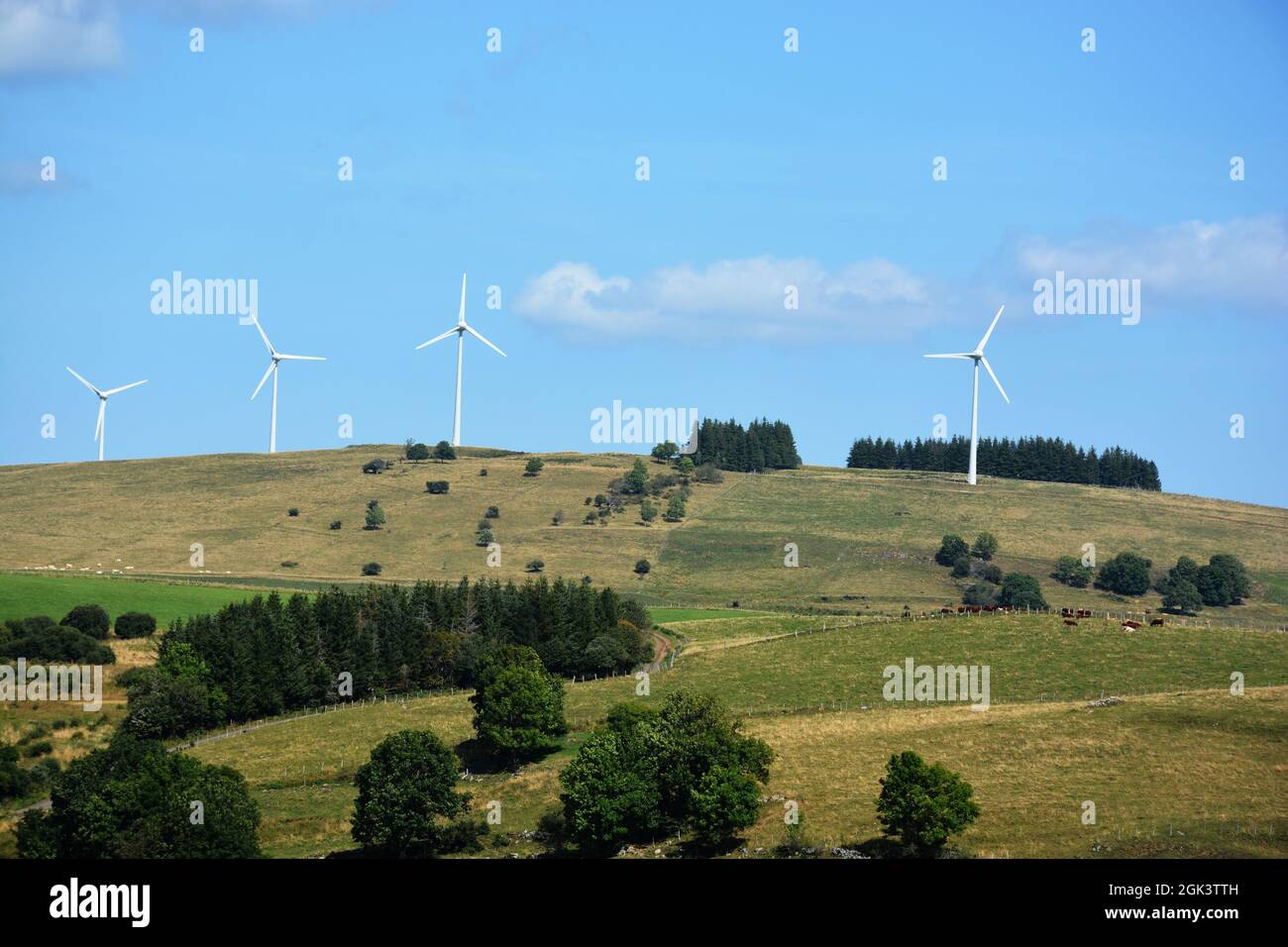 wind turbines on the heights of the Cezallier plateau, near La Meyrand, Puy-de-Dome department, Auvergne-Rhone-Alpes, Massif-Central, France Stock Photo