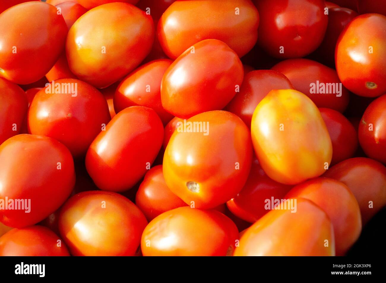 Fresh Red tomatoes uses for increasing the test of vegetables Stock