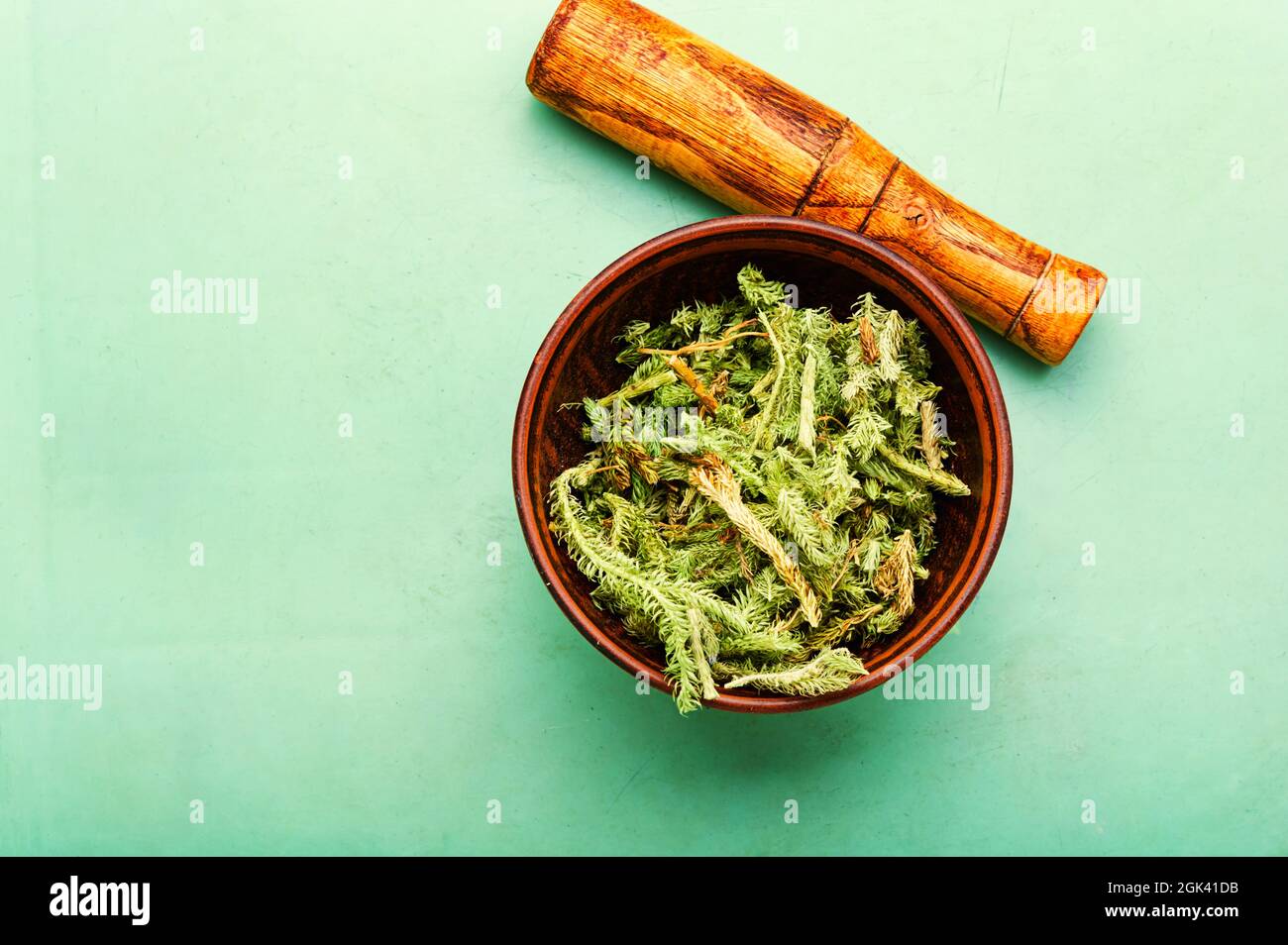 Dried healing plants in a mortar and pestle.Lycopodium in herbal medicine.Copy space Stock Photo