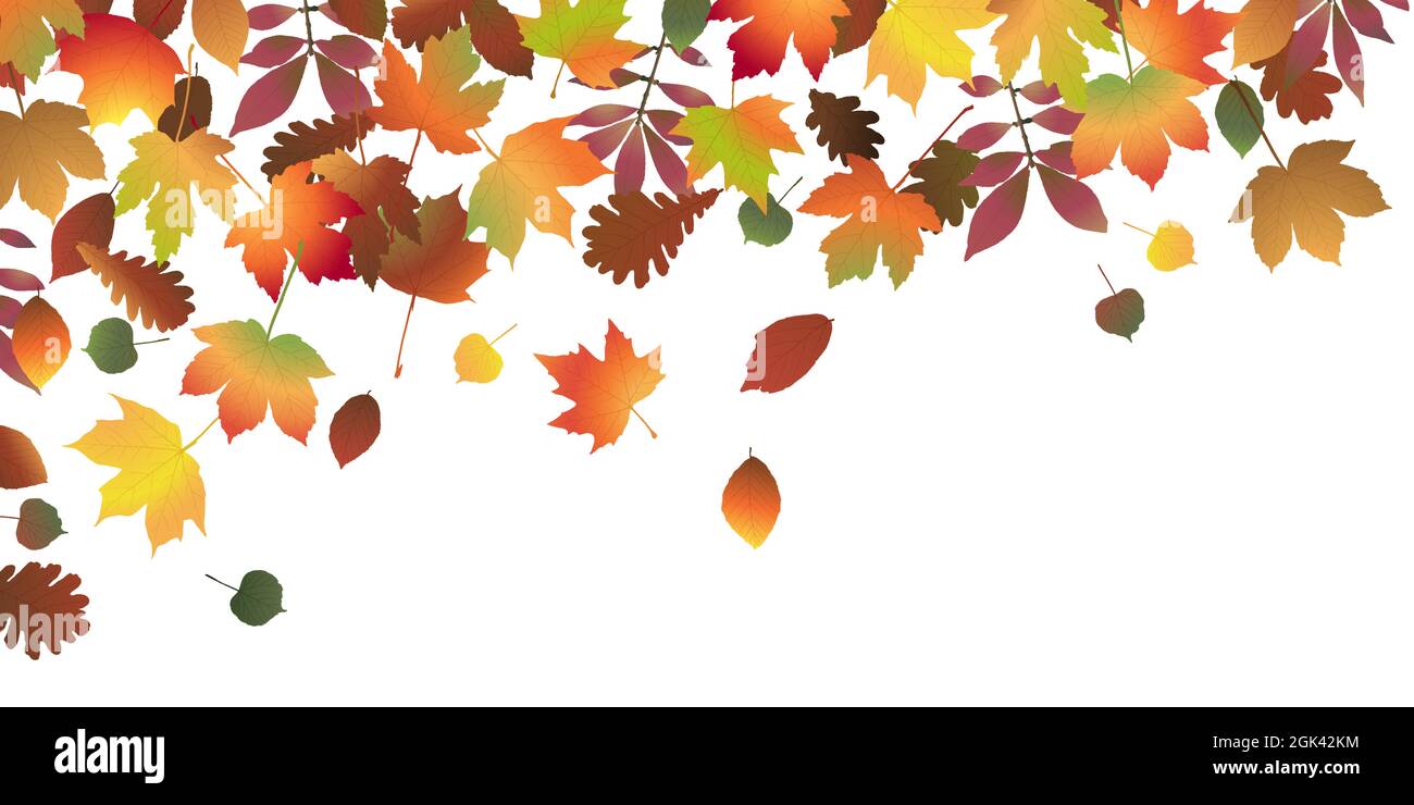 eps vector file with end of summer or fall colored leaves on upper side