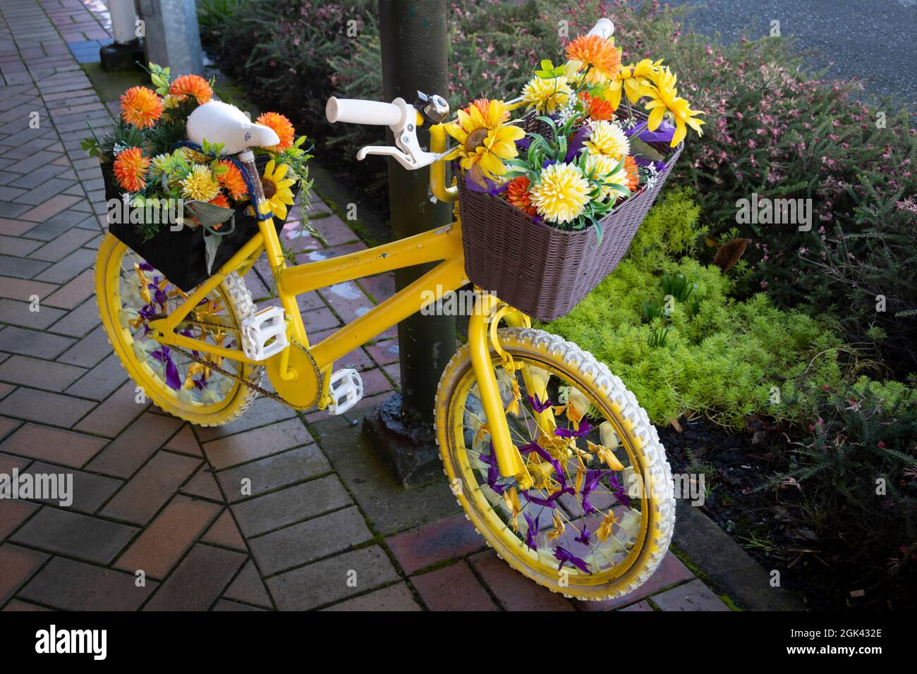 Yellow children's bike with flowers in baskets, Eltham, Taranaki, North Island, New Zealand Stock Photo