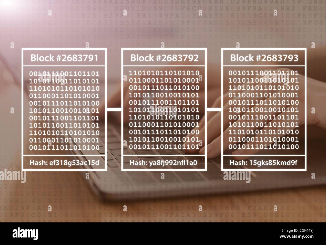 Businesswoman programmer typing with software computer on keyboard, double exposure with blocks