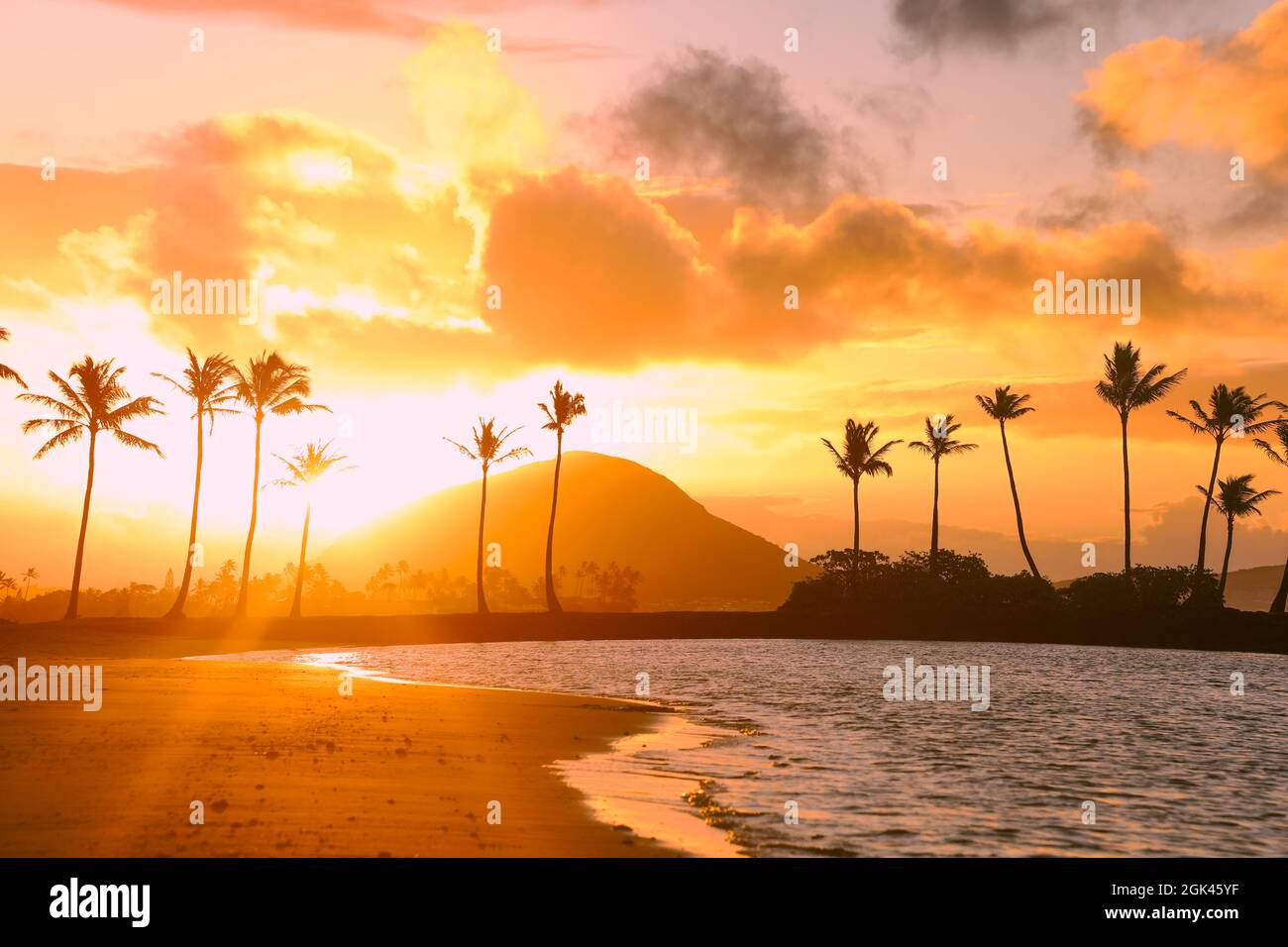 Beautiful view of a beach with high palm trees and a sunrise 