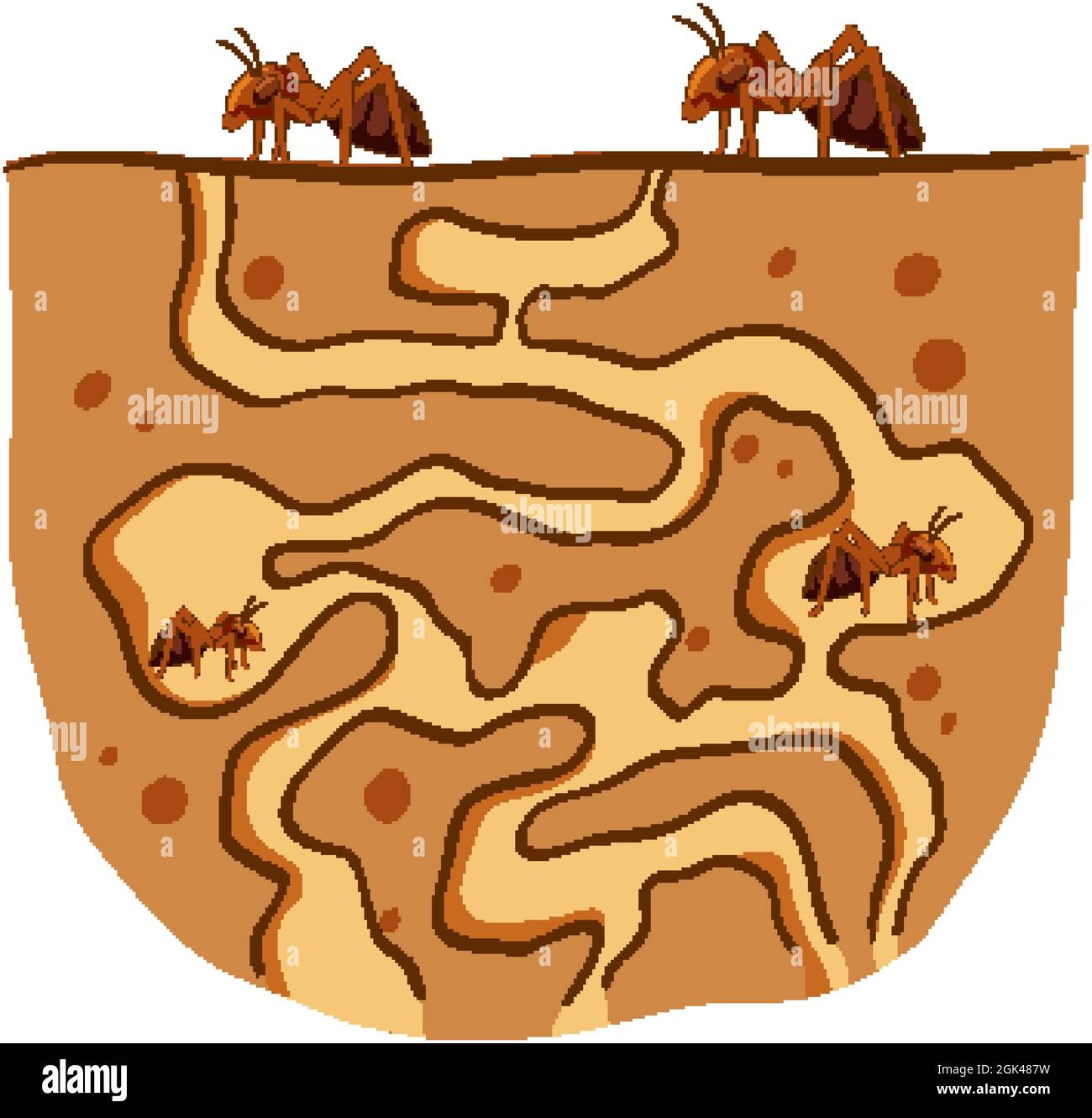 Underground ant nest with red ants illustration Stock Vector