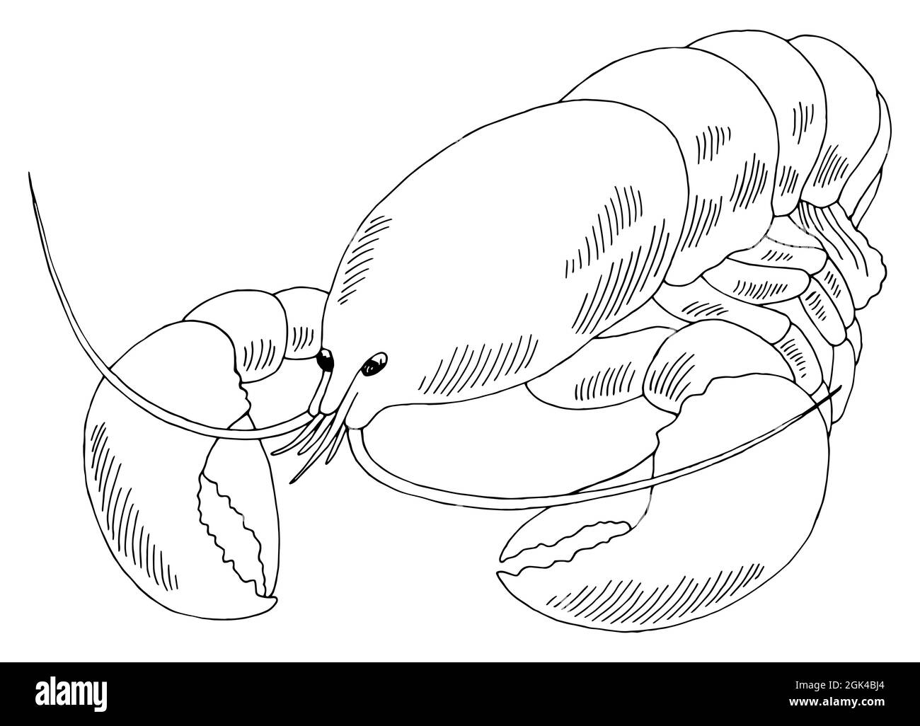 Lobster graphic black white isolated sketch illustration vector Stock Vector
