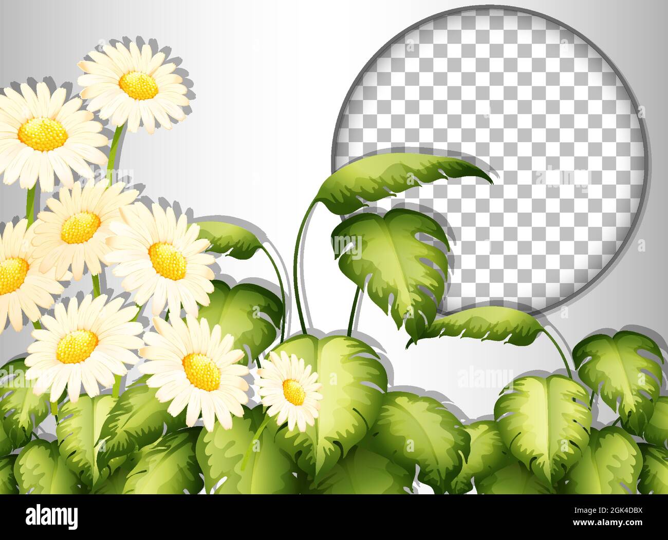 Round frame transparent with tropical flowers and leaves template ...
