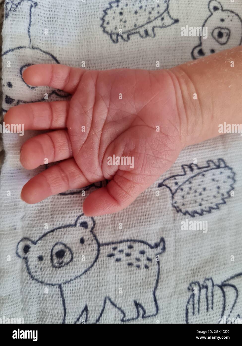 Cute newborn hand, close up. Small little baby girl hand. Little fingers. Hand over infant Stock Photo