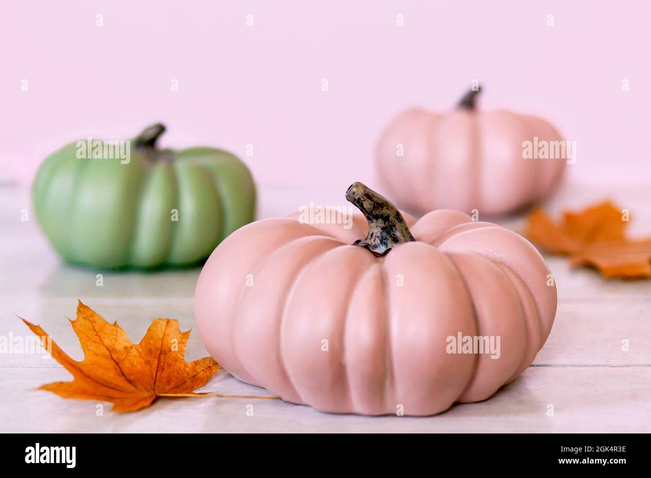 Autumn background with pink and green pumpkins and leaves in pastel ...
