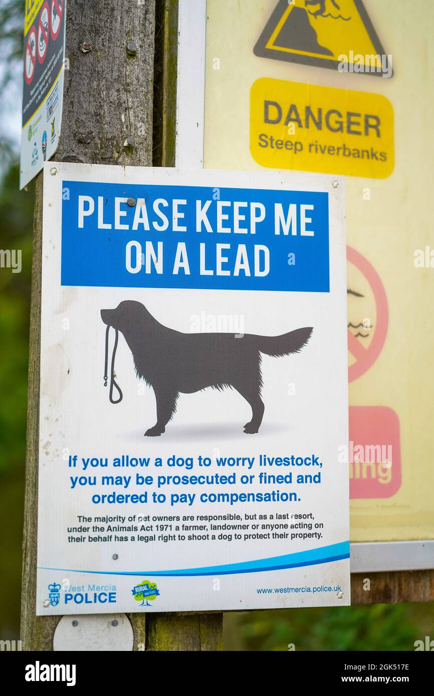 please keep me on a lead dog sign Stock Photo - Alamy