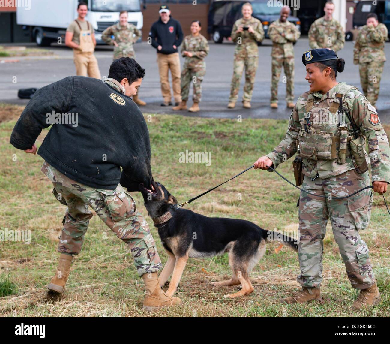 Are German Shepherds Allowed On Military Bases