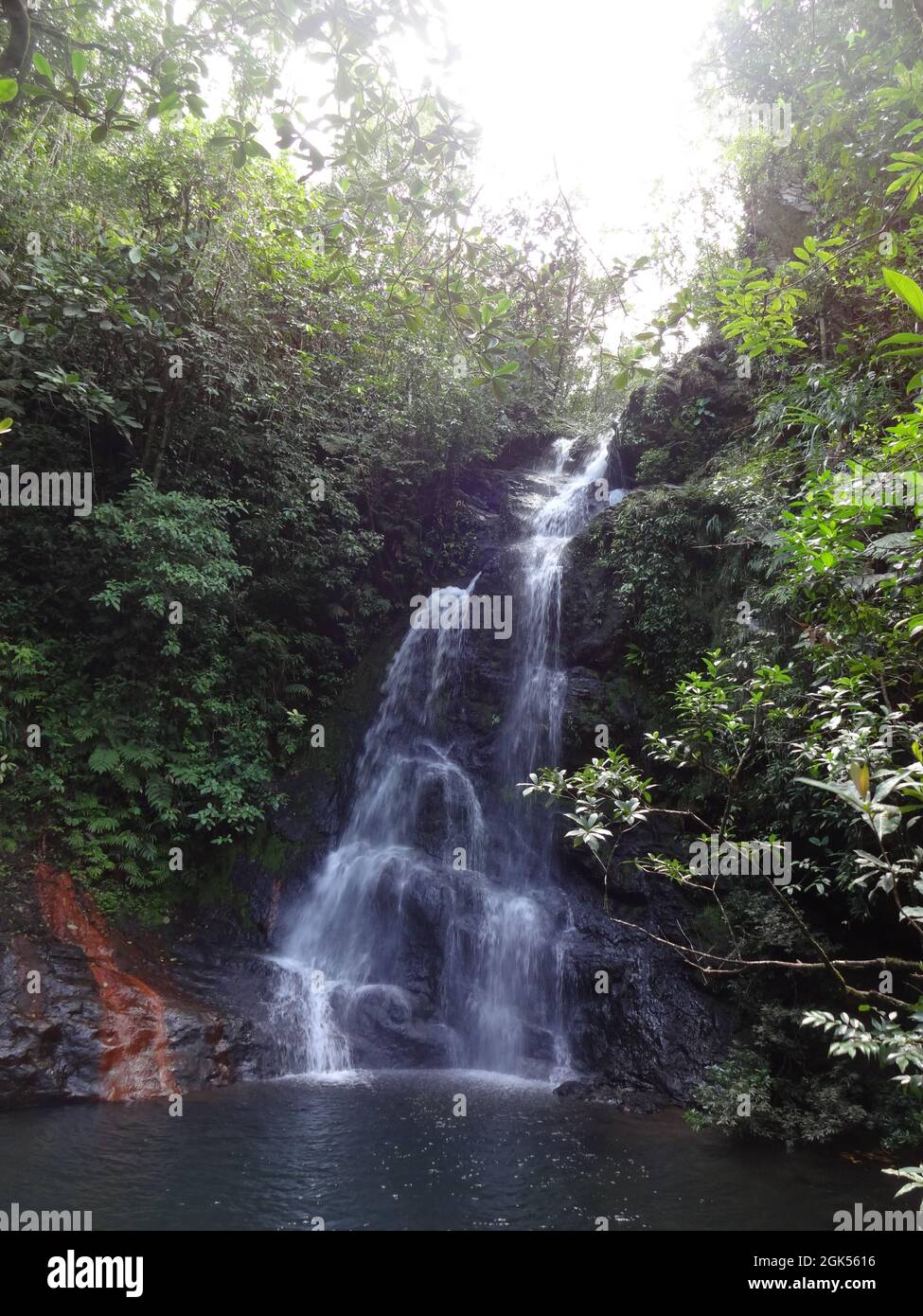 Water fall in the jungle of Guatemala Stock Photo - Alamy